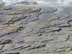 SX05167 Layers of rock slabs at beach.jpg